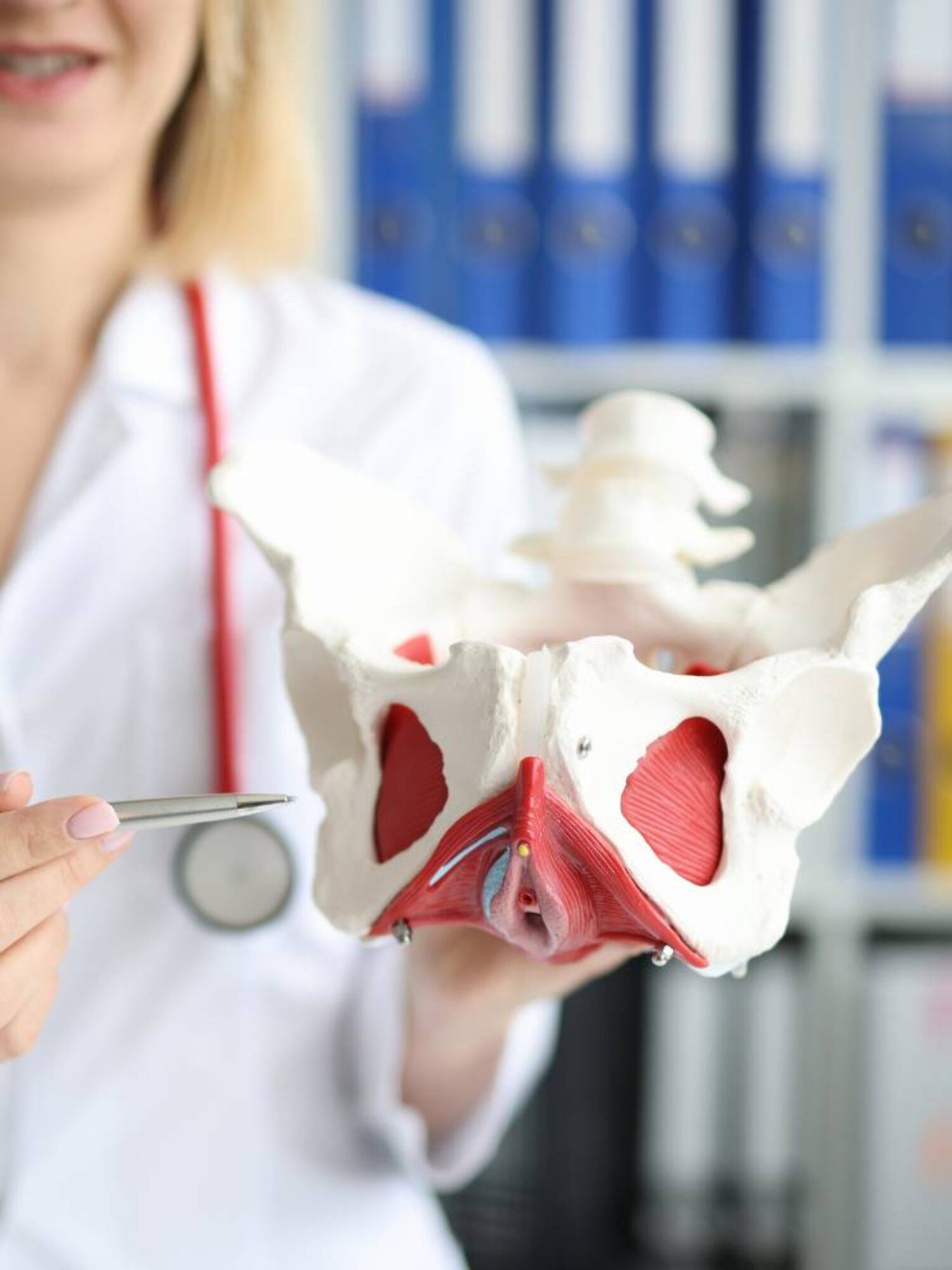 pelvic floor physical therapy miami tall